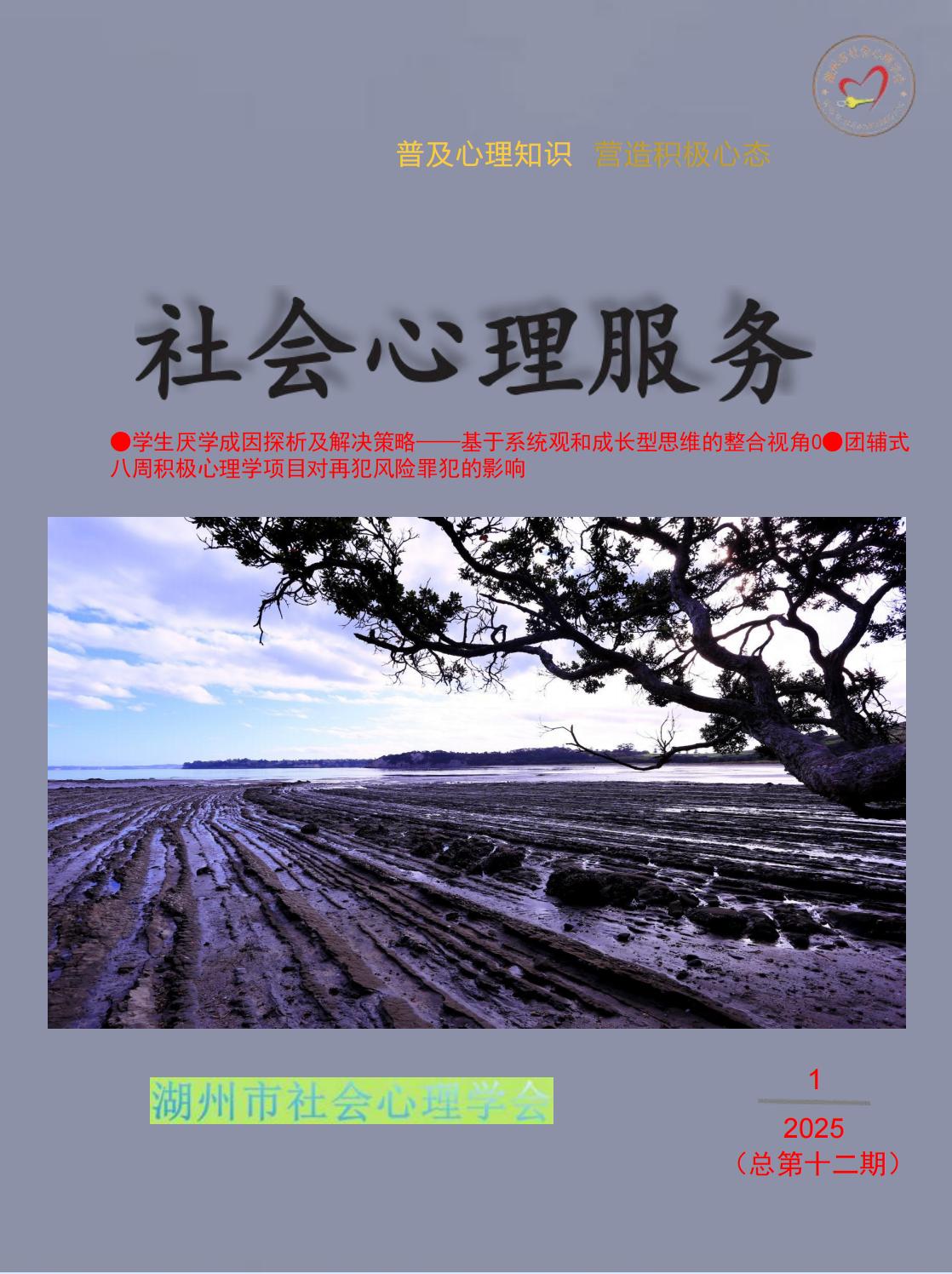 《社会心理服务》杂志(第12期)电子浏览和下载